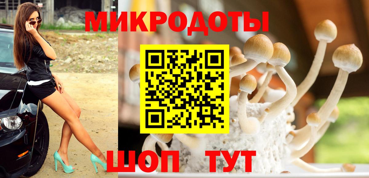 Псилоцибиновые грибы GOLDEN TEACHER Канск